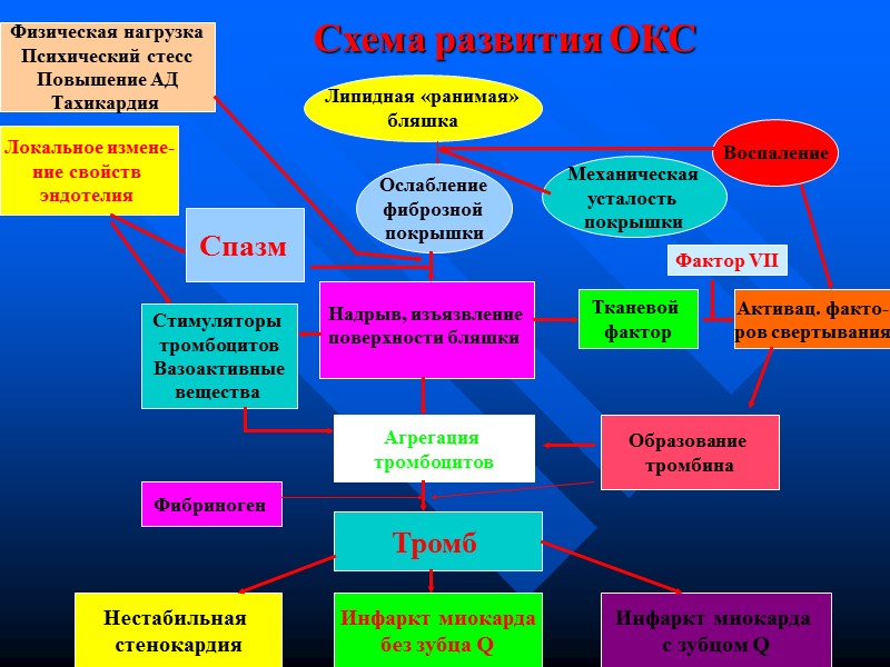 Cхема развития ОКС Липидная «ранимая» бляшка Воспаление Механическая усталость покрышки Ослабление Cхема развития ОКС Липидная «ранимая» бляшка Воспаление Механическая усталость покрышки Ослабление